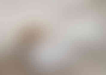 image (2)