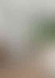 image (1)