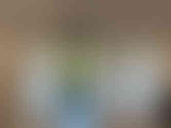 Sheer curtain in living room