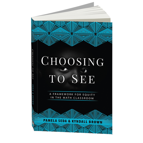 Selecting Seeing Choosing to See Book | sedaedconsulting