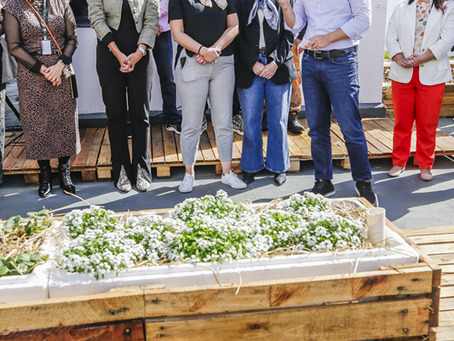 Colheita e homenagem marcam a inauguração do Terraço Verde +