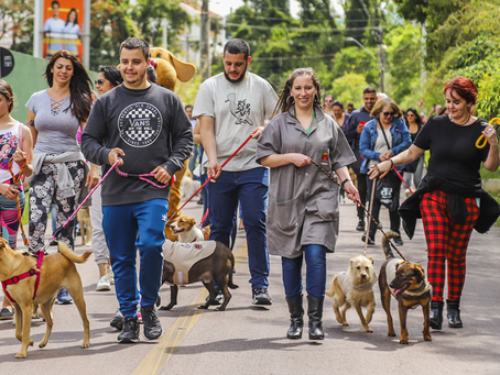 Cãominhada, atividades de lazer e serviços movimentam o Domingo no Centro