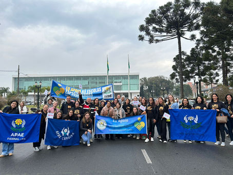 Ato em Curitiba denuncia risco de fechamento das APAEs com julgamento da ADI 7796 no STF