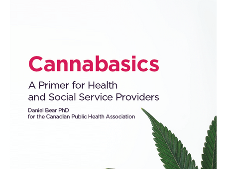 Public Health Innovation: Transforming Cannabis Education for Frontline Providers