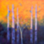 Aspen Promises