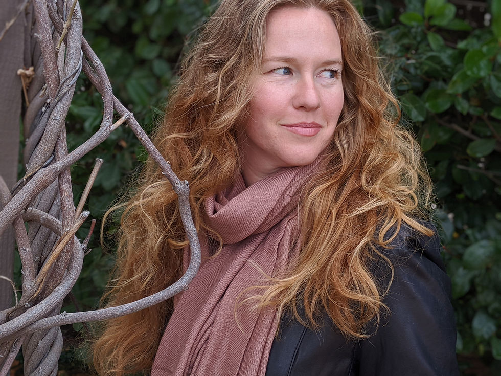 Thumbnail: 100% Pashmina/Cashmere Scarf