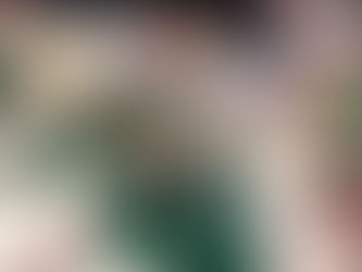 Journal: Vlog, Venite Con Noi All’Artigiano In Fiera.