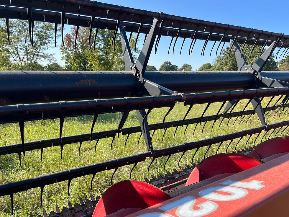 Thumbnail: Case IH 1020 30ft Flex Header