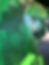 Thumbnail: JOHN DEERE S670 COMBINE