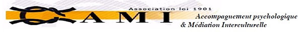 logo ami.jpg