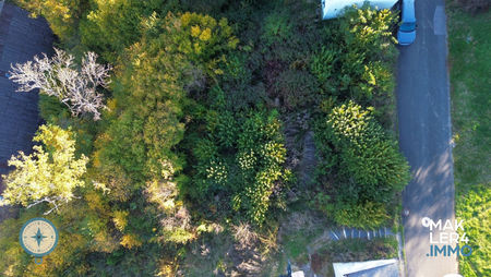 Baugrundstück in Zell, Gemeinde Üchtelhausen – ruhige, naturnahe Lage, präsentiert von makler4.immo, ideal für Ihr Bauvorhaben