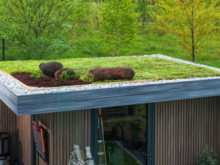 Begrüntes Flachdach eines Wohnhauses als Beispiel für kommunale Begrünungspflichten
