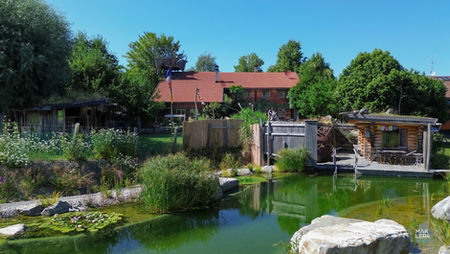 Naturteich mit Holzterrasse und Blockhaus im Hintergrund im Oberallgäu