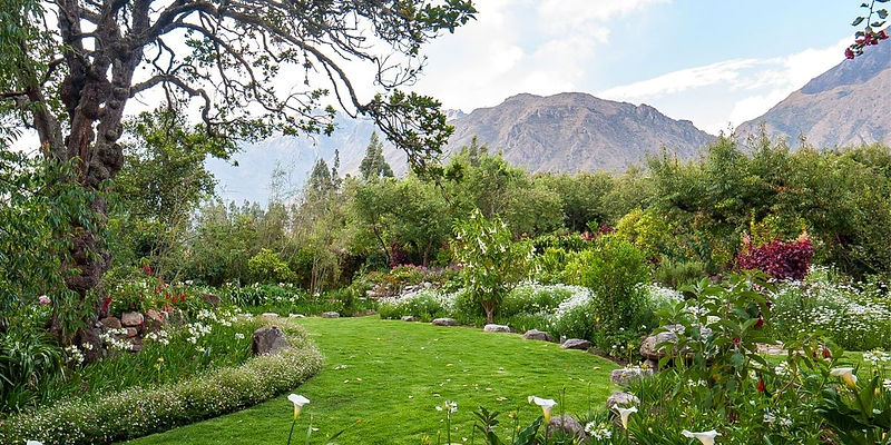 Mystical Peru Yoga Retreat.jpeg
