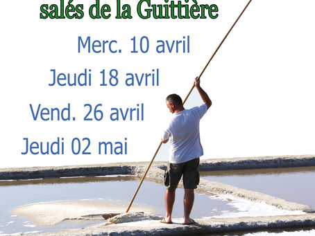 Découvertes des marais salés
