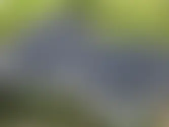 Why Metal Roofs Are a Smart Choice for Midwest Winters 