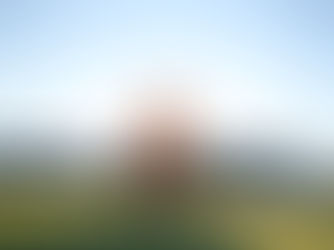 20 years of fitness experience in 1 post