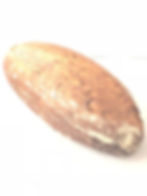 ★ Pflüger Brot