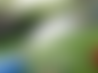 Yard sanitation being applied after dog poop removal in backyard of home