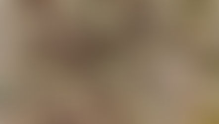 A L M A L I B R E âšđđžđłđ„đ