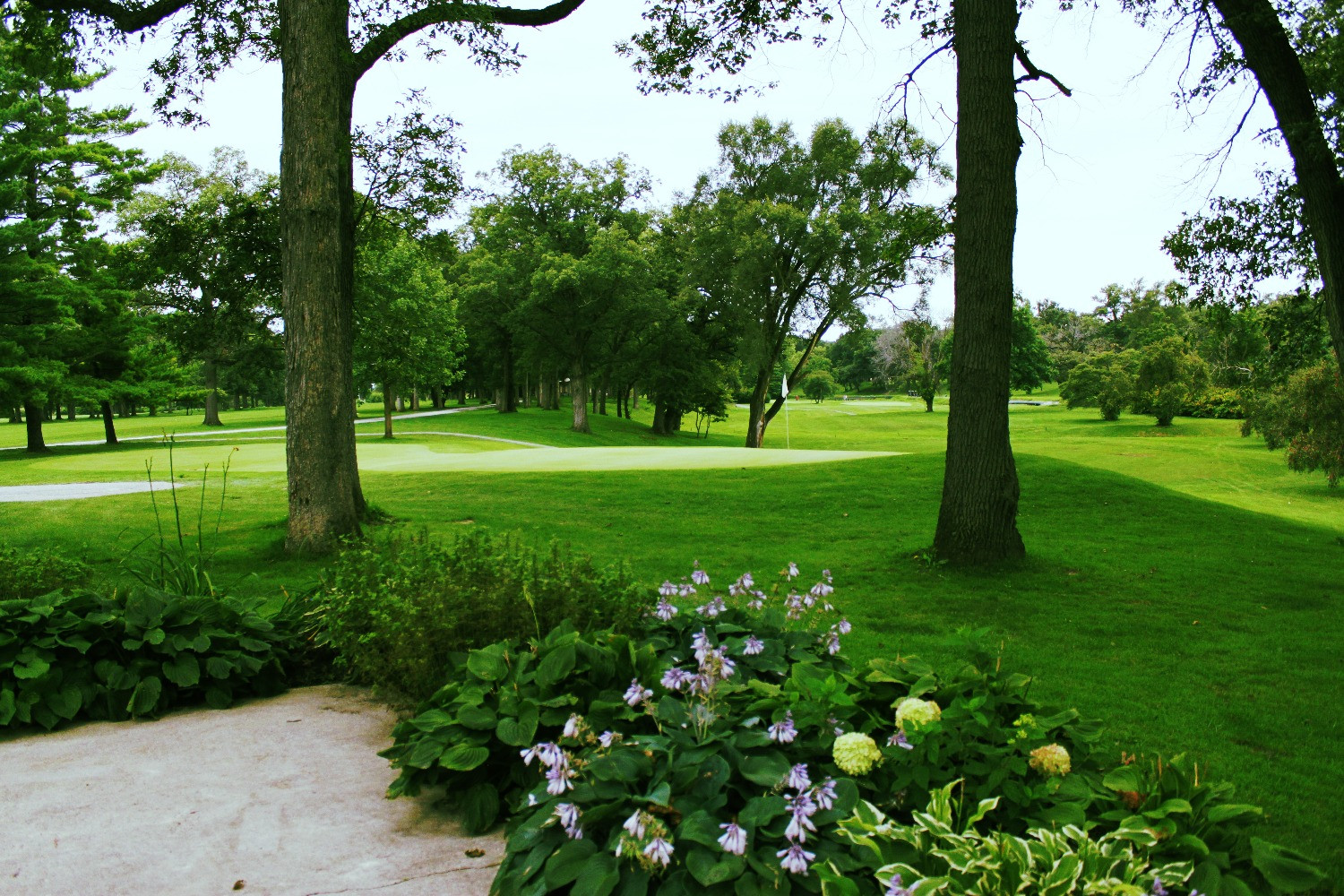 Curtis Creek Golf Course