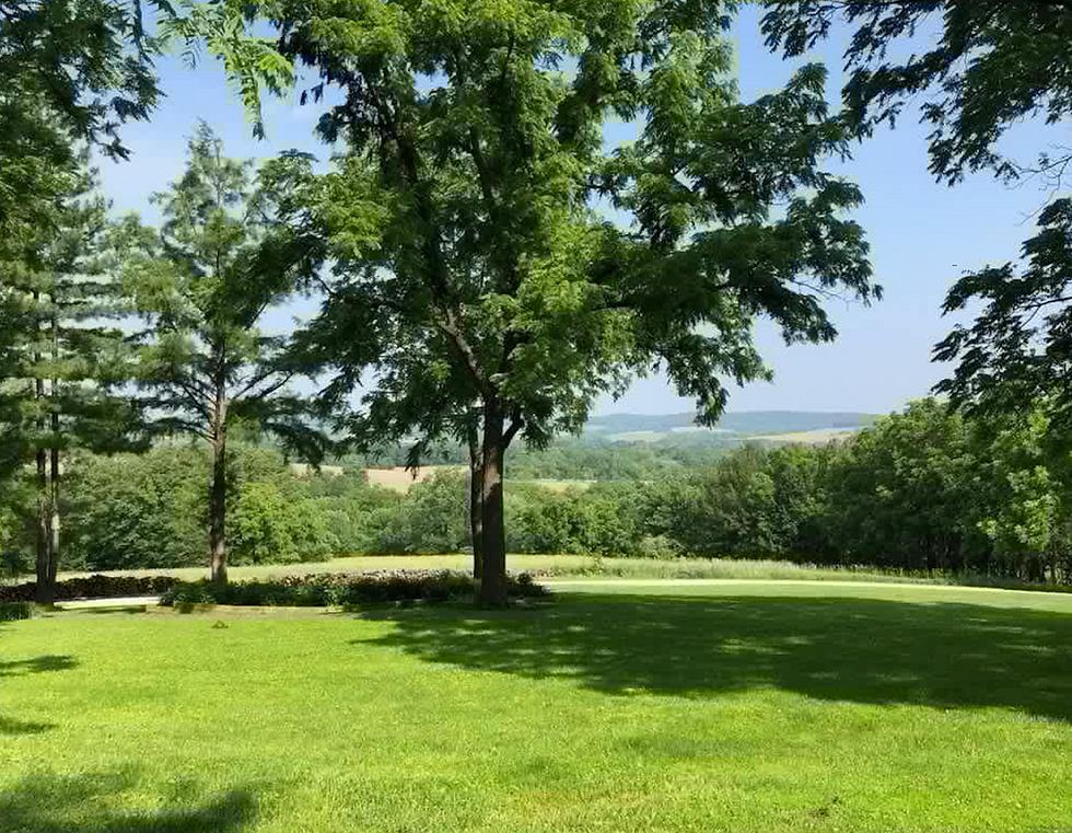 Scenic View 1