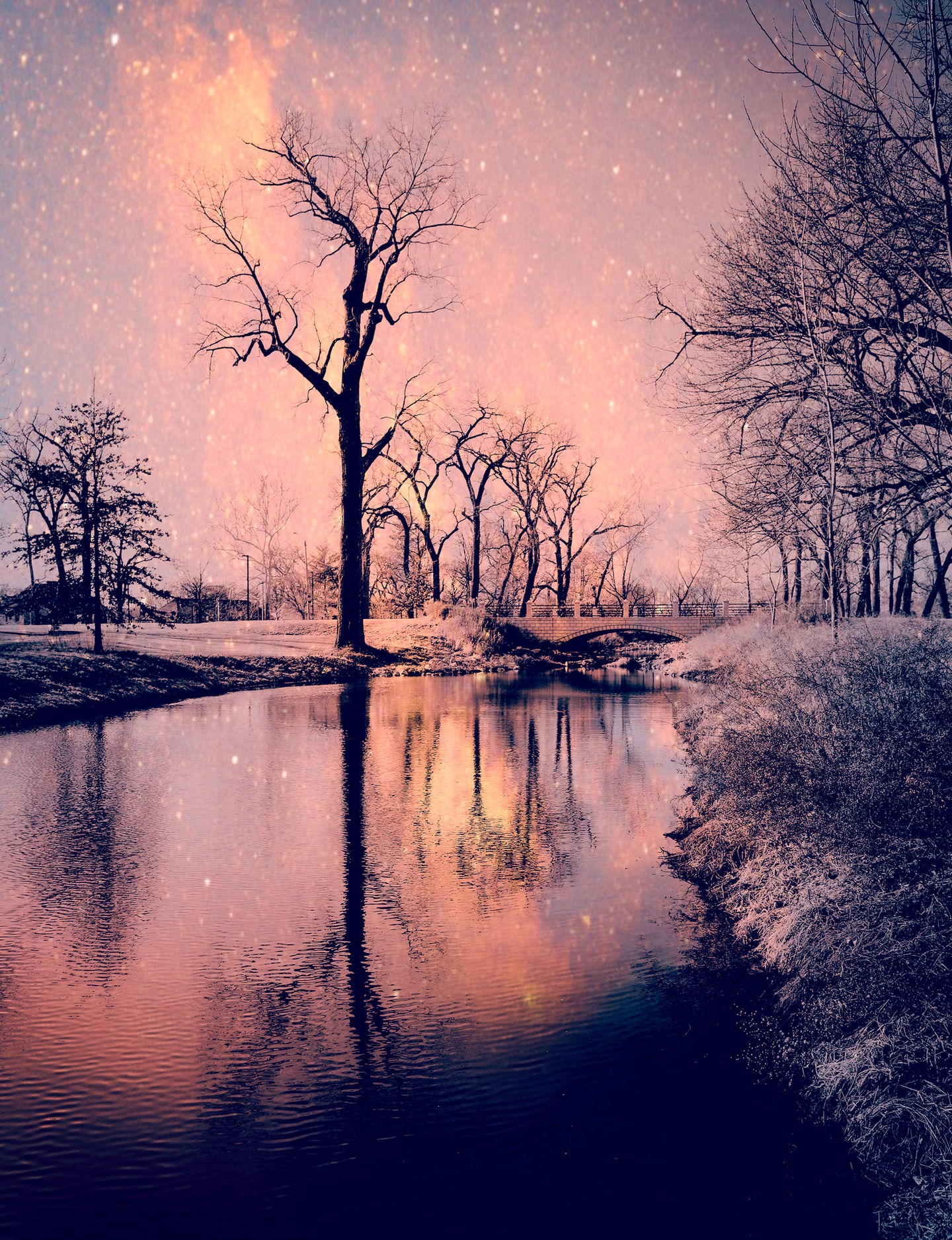 Quietude (Forest Park)