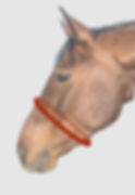 Miniaturbild: Kombi Paket "Finesse"