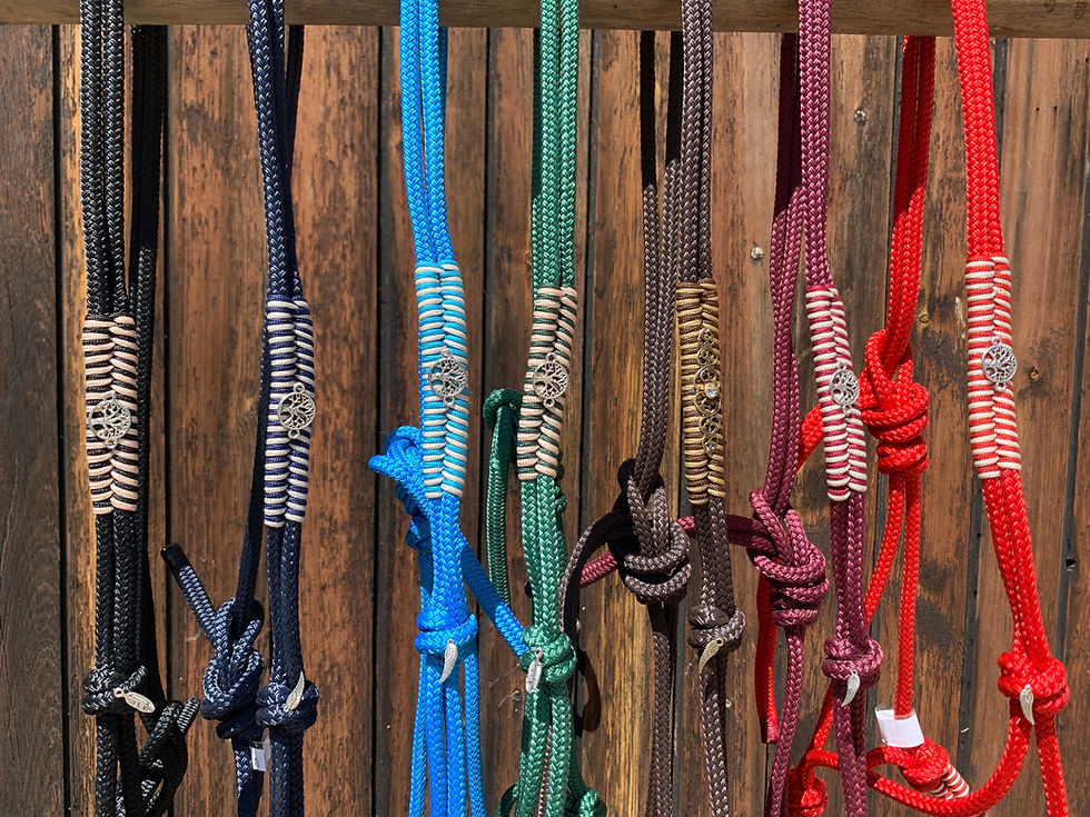 Thumbnail: Rope halter cavesson