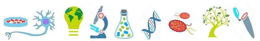 Dibujos biologia.jpg