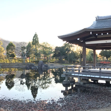 In Search of Echizen Crab...