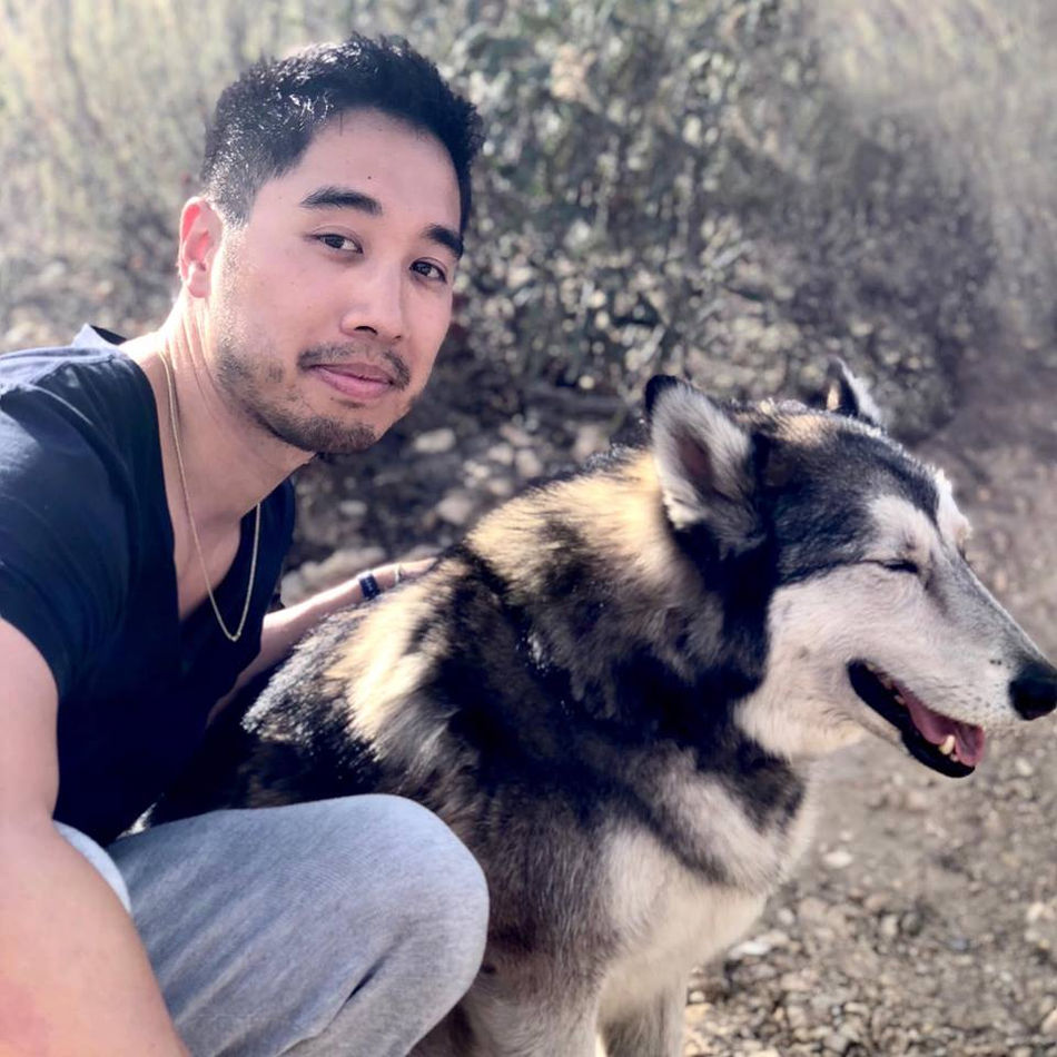 Wolf Connection
