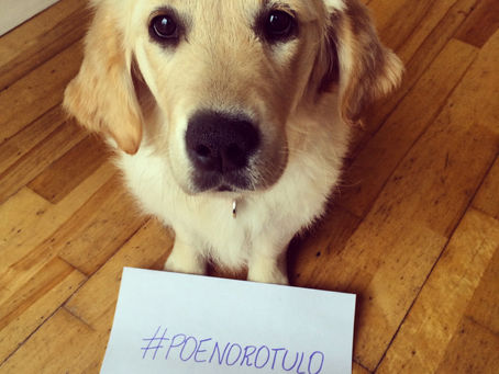 #poenorotulo