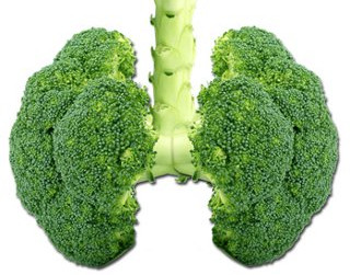 Alimentos buenos para la salud respiratoria