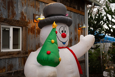 Dairyland 2025-091.jpg