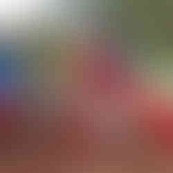 Custom PlayPark System