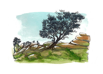 Landscape_Tree05.jpg