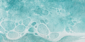 BANNER.png