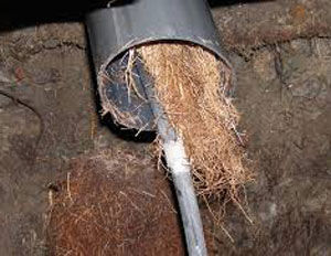 Blocked Pipe