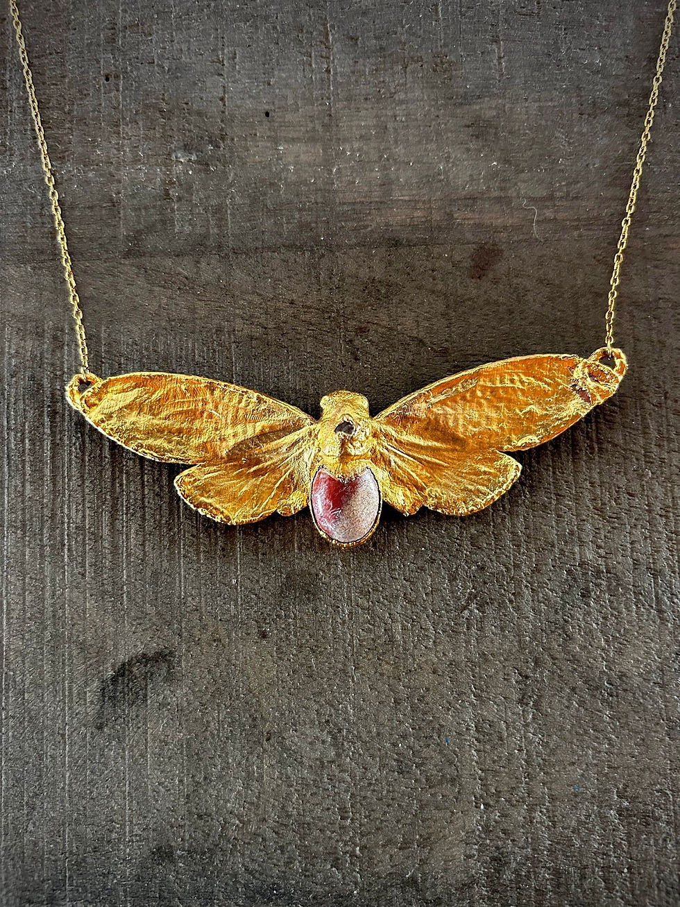 Thumbnail: Necklace with real cicada