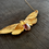 Thumbnail: Necklace with real cicada