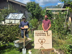 Wissen einfach vermitteln