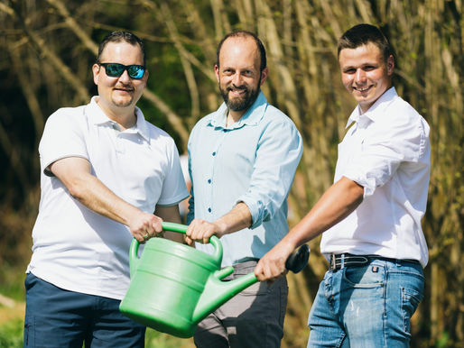 Aktion Fleckerlteppich