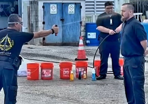 WhatsApp Image 2025-04-04 at 00.44.06_28a1e234.jpg