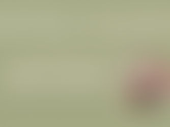 March Aviatra of the Month: Maria Walkup & Laura McCarthy, LAMA Herbal Solutions