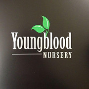 youngbloodnursery logo