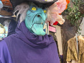 SUSTAINABLE HALLOWEEN COSTUME INSPIRATION - Rose Costumes in Denton, TX