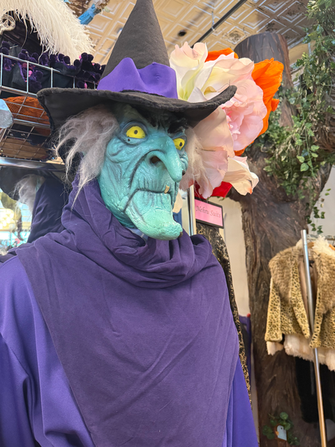 SUSTAINABLE HALLOWEEN COSTUME INSPIRATION - Rose Costumes in Denton, TX