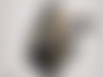 Bow Wow & Soulja Boy Link For Joint Album