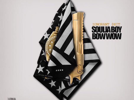 Bow Wow & Soulja Boy Link For Joint Album